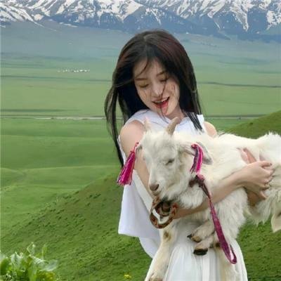 哈利波特:凤凰会的密令